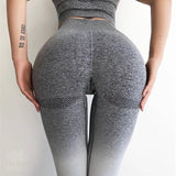 Ombre Seamless Leggings